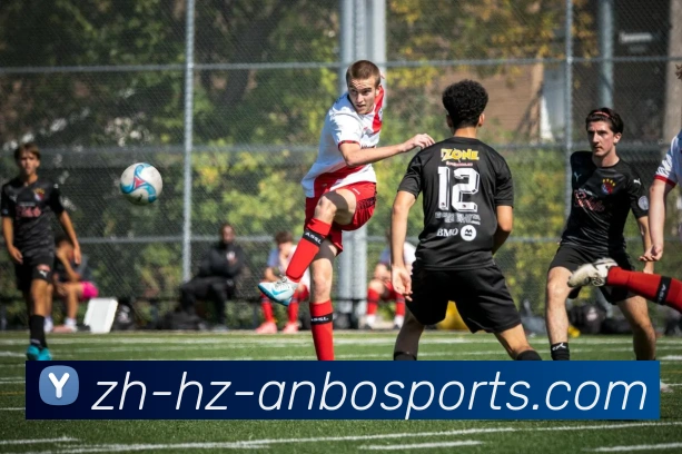 安博体育服务体系